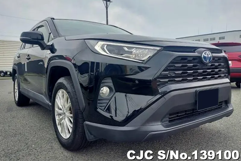 Toyota / Rav4 2020