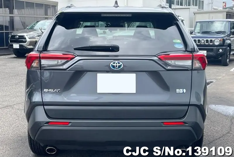 Toyota Rav4 in Gray for Sale Image 4