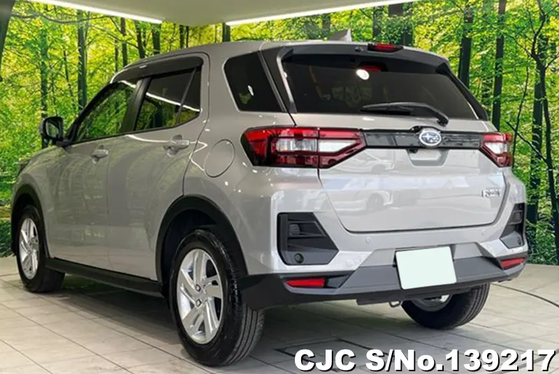 Subaru Rex in Silver for Sale Image 1