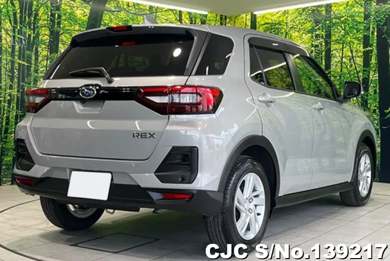 Subaru Rex in Silver for Sale Image 2