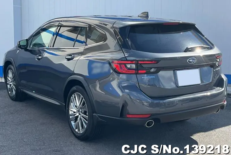 Subaru Levorg in Gray for Sale Image 1
