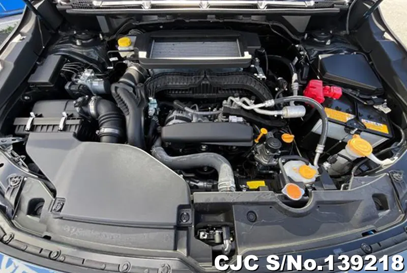Subaru Levorg in Gray for Sale Image 7