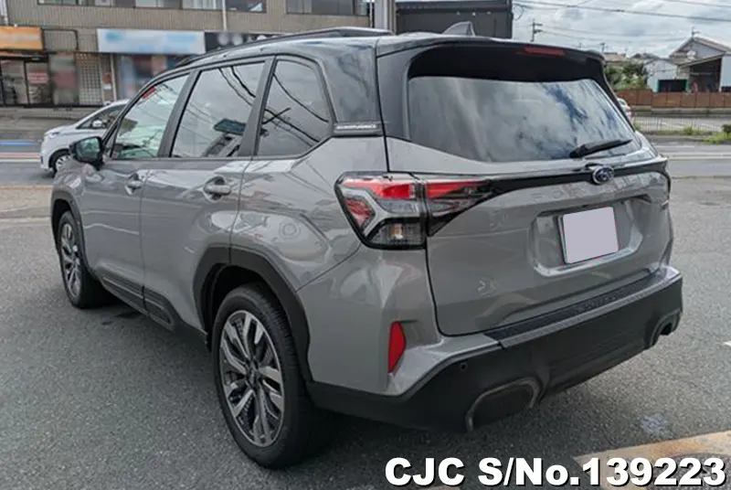 Subaru Forester in Gray for Sale Image 1