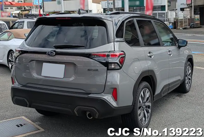 Subaru Forester in Gray for Sale Image 2