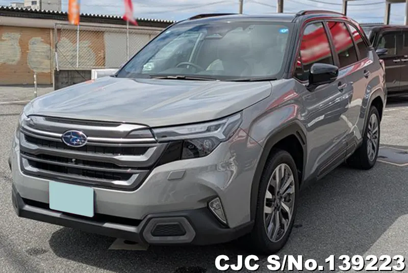 Subaru Forester in Gray for Sale Image 3