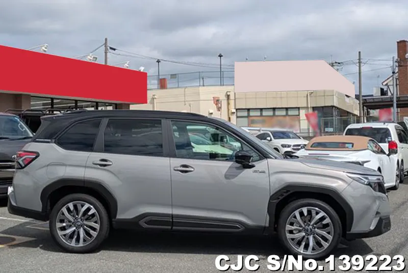 Subaru Forester in Gray for Sale Image 6