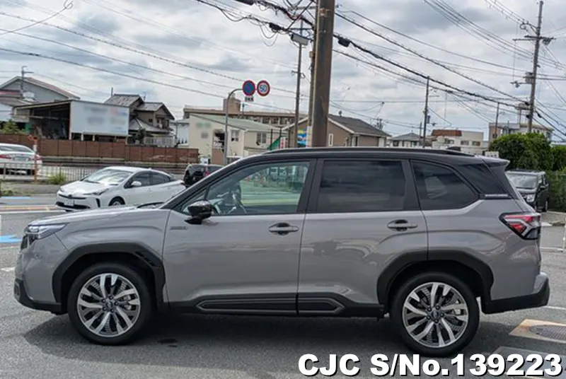 Subaru Forester in Gray for Sale Image 7